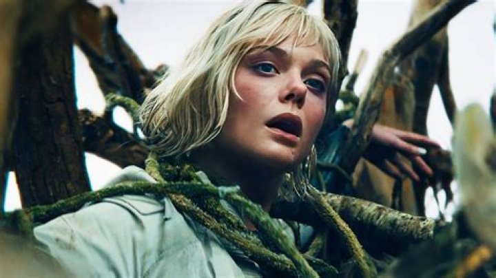 Elle King: Residence and Life Explored