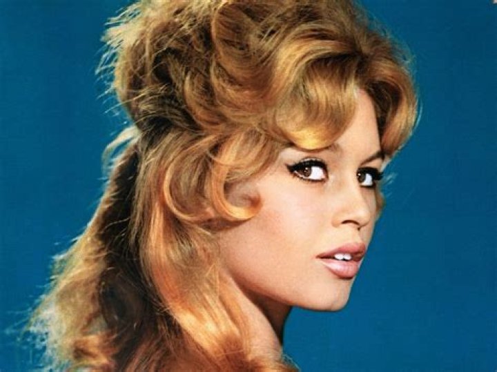 Who is the Son of Brigitte Bardot? | Fascinating Insights
