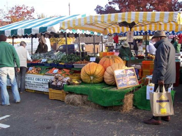 Discovering the Treasures of Winchester Farmers Market