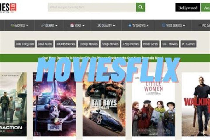 Discovering MoviesFlix: Your Ultimate Destination for Movie Streaming